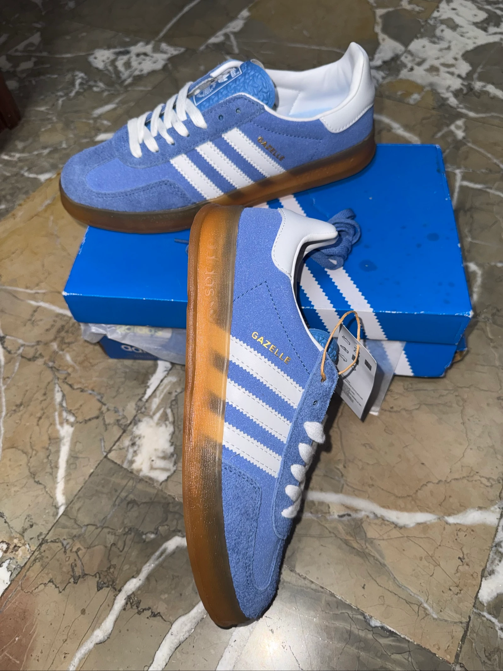 Gazelle – photo 5
